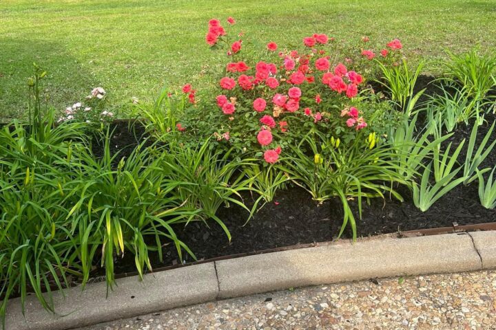 Landscaping - Flower Beds 02